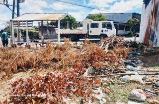 Residuos en lote 