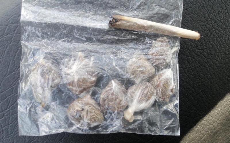 Foto de aparente marihuana 